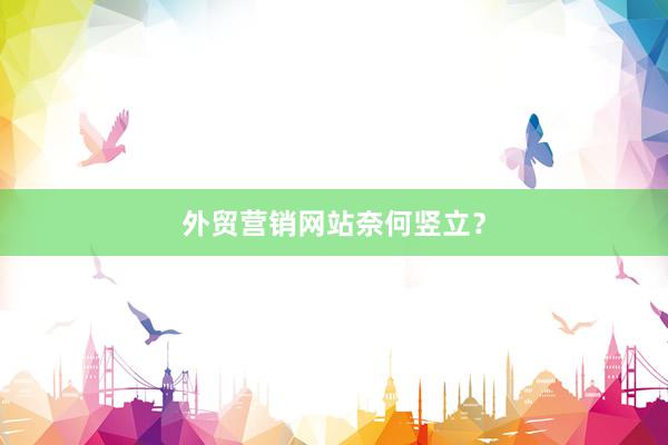 外贸营销网站奈何竖立？