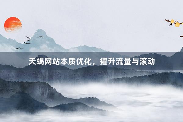 天蝎网站本质优化，擢升流量与滚动