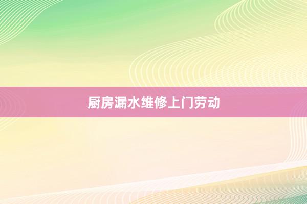厨房漏水维修上门劳动
