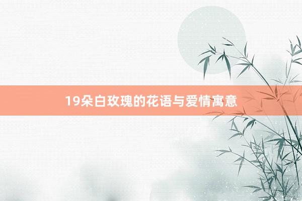 19朵白玫瑰的花语与爱情寓意