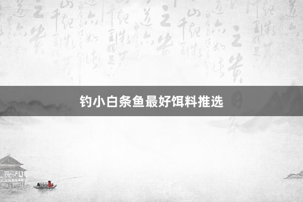 钓小白条鱼最好饵料推选