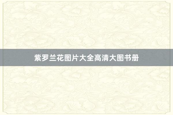 紫罗兰花图片大全高清大图书册